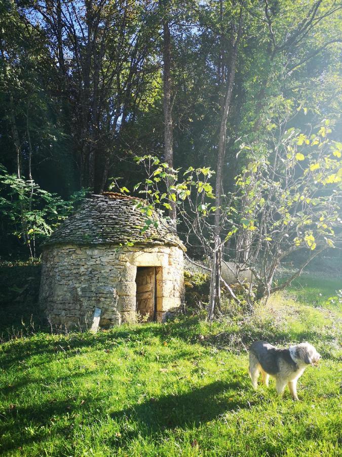 Du Bouyssou Casa vacanze Carsac-Aillac
